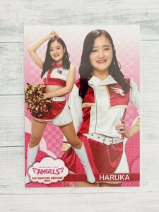 ☆ BBM プロ野球チアリーダーカード 2021 DANCING HEROINE 舞 舞40 東北ゴールデンエンジェルス HARUKA ☆