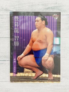 ☆ BBM2021 大相撲カード レギュラーカード 34 豊昇龍智勝 ☆