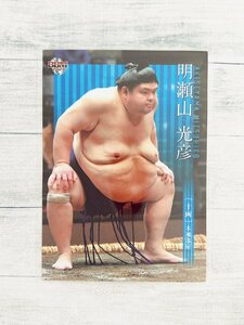 ☆ BBM2021 大相撲カード レギュラーカード 43 明瀬山光彦 ☆