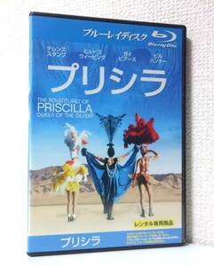 レア 「 プリシラ 」 国内版 Blu-ray レンタル使用品　1994年 テレンス・スタンプ　ガイ・ピアース　ヒューゴ・ウィーヴィング