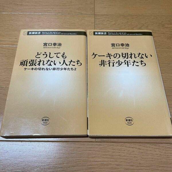 ケーキの切れない非行少年たち どうしても頑張れない人たち　2冊セット