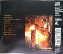 James Taylor Dadd Loves His Work 1CD日本盤帯付_画像2