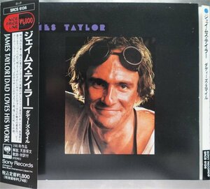 James Taylor Dadd Loves His Work 1CD日本盤帯付