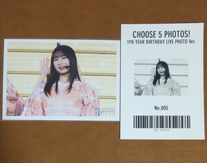 乃木坂46　CHOOSE 5 PHOTOS! 11th YEAR BIRTHDAY LIVE PHOTO Ver. No.005　生写真　鈴木絢音