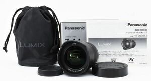 Panasonic