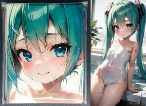 ▲ 初音ミク 13461▲コスプレ▲タペストリー・抱き枕カバー系・超大バスタオル・毛布・ポスター▲超大105×55cm