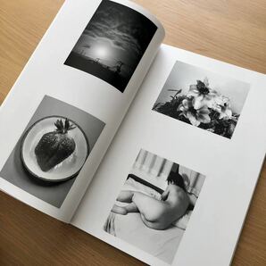 荒木経惟: 恋夢 愛無 Nobuyoshi Araki 写真集の画像8