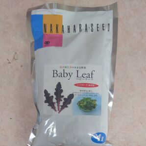 レッドオークの種1リットル