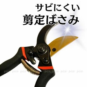 剪定鋏　剪定バサミ　剪定はさみ　ガーデニング　枝切り　花切り　SK-5 チタン　果樹　剪定 植木 園芸 庭 盆栽 摘果