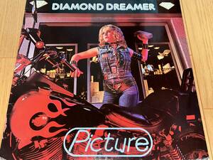 Picture / Diamond Dreamer '82年正統派HM