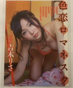 【厚手ラミネート加工】吉木りさ　水着　A4変サイズ　雑誌切り抜き ５ページ FLASH２０１３年４月２日号【グラビア】-L19