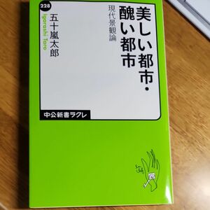 美しい都市・醜い都市　現代景観論 （中公新書ラクレ　２２８） 五十嵐太郎／著