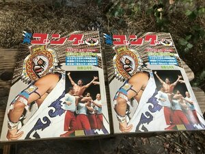 ★　１　昭和５２年　別冊ゴング　９月号　２冊まとめて　ピンナップポスター付き　プロレス　格闘技　ミルマスカラス　アントニオ猪木