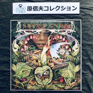 原信夫Collection 傷なし美盤 美ジャケ 美品 プロモ盤 両面マト111 1979年 国内盤 Spyro Gyra LPレコード Morning Dance: Michael Brecker