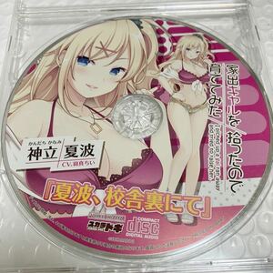 匿名送料無料★家出ギャルを拾ったので育ててみた　オリジナル ドラマCD ★貴重非売品　asmr バイノーラル　cv 羽真ちい