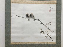 真作保証 小林五浪 雀 紙本 共箱 二重箱 掛軸 書画 骨董品 美術品 4968pbzS_画像3