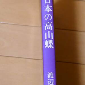 中古 日本の高山蝶 写真集 渡辺康之／著の画像2