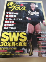 「SWS　30年目の真実　俺たちのプロレス　VOL.15」双葉社スーパームック　2020年発行　_画像1