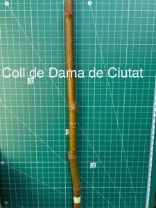 イチジク　穂木　Coll de Dama Ciutat