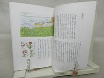 E1■てくてく青空登山【著】安西水丸【発行】MURREN BOOKS 2019年◆良好■送料150円可_画像7