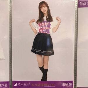 乃木坂46 7th BD ライブT 生写真 佐藤楓 ヒキ