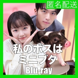 私のボスはミニブタ(自動翻訳)「A1」中国ドラマ「B1」Blu-rαy「cat」★2/9以降発送