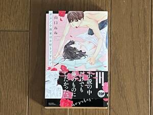 ポルノ小説家はおすきか？ 山口ねね