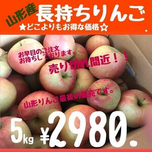 美味しくお安く１kg増量中山形産越冬りんご/5kg +1kg(箱込み)=6kg¥2980.東北から中国地方まで送料無料-2