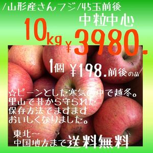 山形産りんご/サンフジ10kg(40個前後)¥3980.東北から関西中国地方まで送料無料　