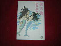 A9★送210円/3冊まで　1【文庫コミック版】 光の海 　ROVER/玉子王子/憂鬱ヤマラージ★小玉ユキ ★複数落札いただきいますと送料がお得です_画像1