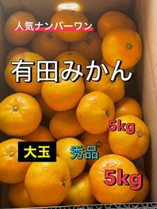 今シーズン最後　大玉減農薬有田みかん　5kg 送料無料