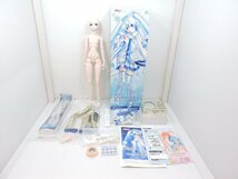 ボークス 初音ミク × DD ドルフィードリーム 雪ミク 中古品[B044I803]_画像1