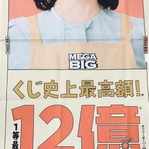 非売品 石田ゆり子さんMEGA BIGのぼり 大