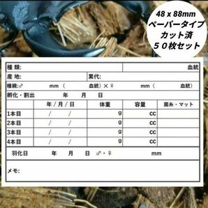 幼虫管理用ラベル クワガタ カブトムシ ペーパータイプ カット済 ５０枚