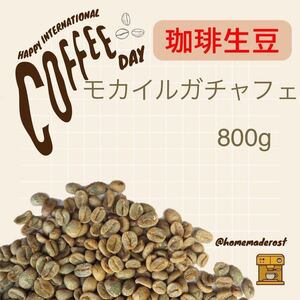 コーヒー生豆　モカイルガチャフェ800g