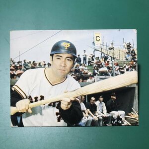 1973年　カルビー　プロ野球カード　73年　バット版　19番　巨人　柴田　【D95】