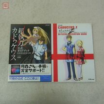 攻略本 NDS 3DS ニンテンドーDS 押忍！闘え！応援団 カドゥケスZ ロックマンゼクス ゼルダの伝説 夢幻の砂時計 等 12冊セット【20_画像5