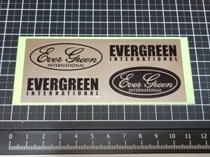 【即落】 EVERGREEN ステッカー【1】 !! 検索：エバーグリーン B-TRUEイマカツ MODE ORION HERACLES 清水盛三 今江克隆 菊元俊文 