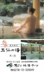 ★入浴女性モデル　後ろ姿　群馬県水上温泉　松の井ホテル★テレカ５０度数未使用nz_195