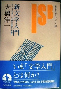 新文学入門 T・イーグルトン『文学とは何か』を読む★大橋洋一★岩波セミナーブックス