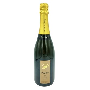 1円スタート★ピュピトレ カヴァ ブリュット 750ml 11.5% Pupitre CAVA BRUT【G1】の画像1