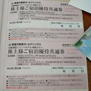 2枚☆東急不動産ホールディングス株主優待券☆リゾートホテル・東急ステイご宿泊共通券・2024年8月31日期限♪の画像1