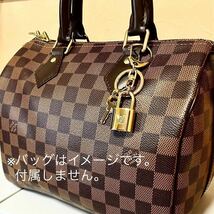 【送料無料】 ルイヴィトン パドロック カデナ 南京錠 カギ Louis Vuitton キーリング キーホルダー バッグチャーム ユニセックス _画像2