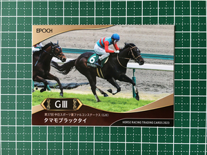 ★EPOCH 2023 競馬 JRA ホースレーシング 上半期総集編 #24 タマモブラックタイ／幸英明［中日スポーツ賞ファルコンステークス／GIII］★