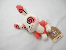 【同梱可】中古品 ホビー ポケモン ぬいぐるみ ホエルオー レジアイス パッチール ぬいぐるみ タグ付き 3点 グッズセ_画像5