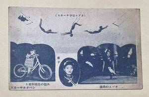 戦前絵葉書「シバタサーカス(ダブル空中サーカス、お猿の自転車乗り、重子、オームの曲芸)」1枚