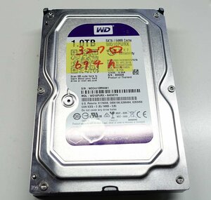 HDD 1TB WESTERN DIGITAL WD10PURX WD Purple 3.5インチ SATA データ消去済 ハードディスク レターパックプラス PC S021623