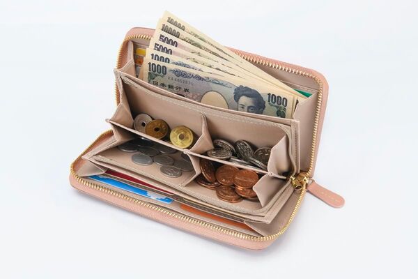 仕分け上手な本革長財布2個組 お得用 ピンクベージュ 新色 桜色 レディース 開運縁起 金運UP 風水 3月10日一粒万倍日