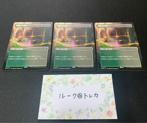 マジック：ザギャザリング MTG カルロフ邸殺人事件 ボーダーレス * 草萌ゆる玄関 3枚セット