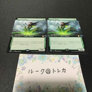 マジック：ザギャザリング MTG 兄弟戦争 拡張アート* 根の道の浄化師 2枚セット